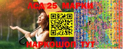 стафф Новокубанск