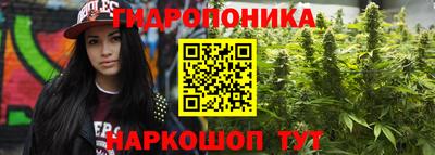 apvp Новозыбков