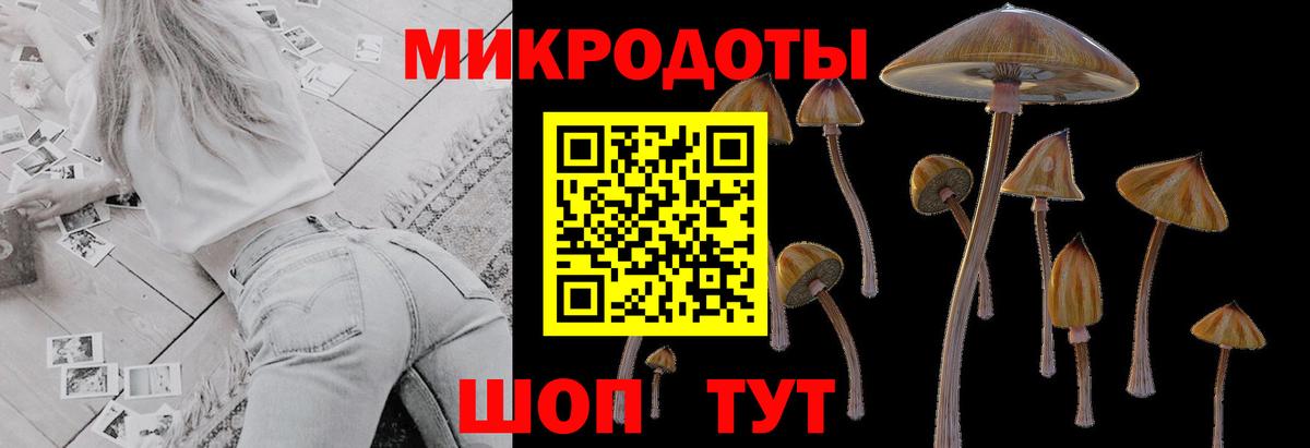 Псилоцибиновые грибы Magic Shrooms  Псилоцибиновые грибы ЛСД  Рославль  хочу наркоту  Вход с VPN 