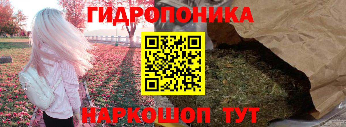 Бошки Шишки OG Kush  Шишки марихуана план  Вход с VPN  Рославль  Марихуана марихуана  Канабис гибрид 
